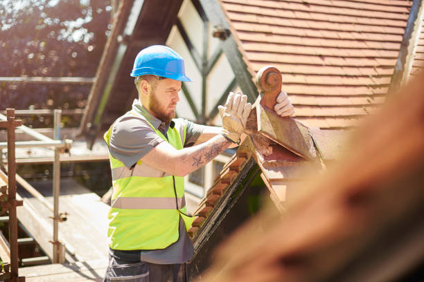 Best Roof Gutter Cleaning  in Garrison, TX