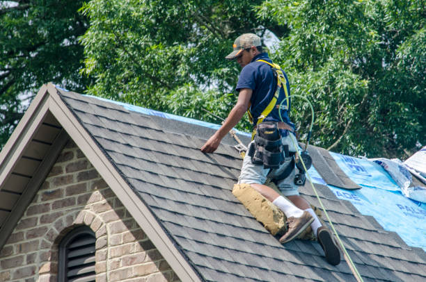 Professional Roofing Contractor in Garrison, TX